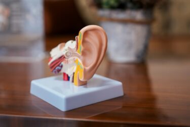 MED-EL y Cascination apuestan por la innovación en quirófano. Las dos compañías han lanzado Otoarm y Otodrive, dos tecnologías diseñadas para ofrecer a los cirujanos una mayor precisión y control en las intervenciones de oído, con el objetivo de mejorar los resultados auditivos de los pacientes.