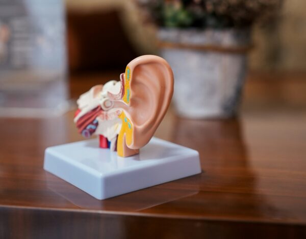 MED-EL y Cascination apuestan por la innovación en quirófano. Las dos compañías han lanzado Otoarm y Otodrive, dos tecnologías diseñadas para ofrecer a los cirujanos una mayor precisión y control en las intervenciones de oído, con el objetivo de mejorar los resultados auditivos de los pacientes.