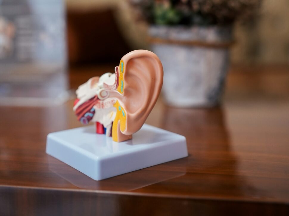 MED-EL y Cascination apuestan por la innovación en quirófano. Las dos compañías han lanzado Otoarm y Otodrive, dos tecnologías diseñadas para ofrecer a los cirujanos una mayor precisión y control en las intervenciones de oído, con el objetivo de mejorar los resultados auditivos de los pacientes.