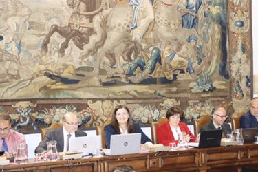Grado Audiología